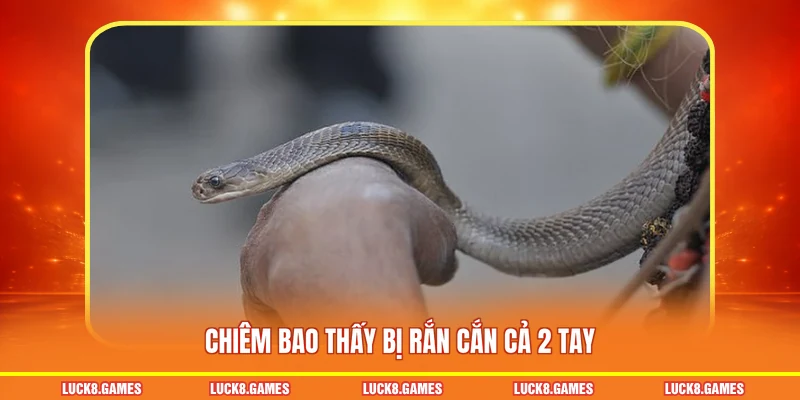 Chiêm bao thấy bị rắn cắn cả 2 tay