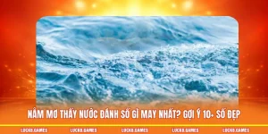 nằm mơ thấy nước đánh số gì